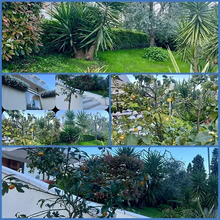 Astoria 2* 托里德尔贝纳科